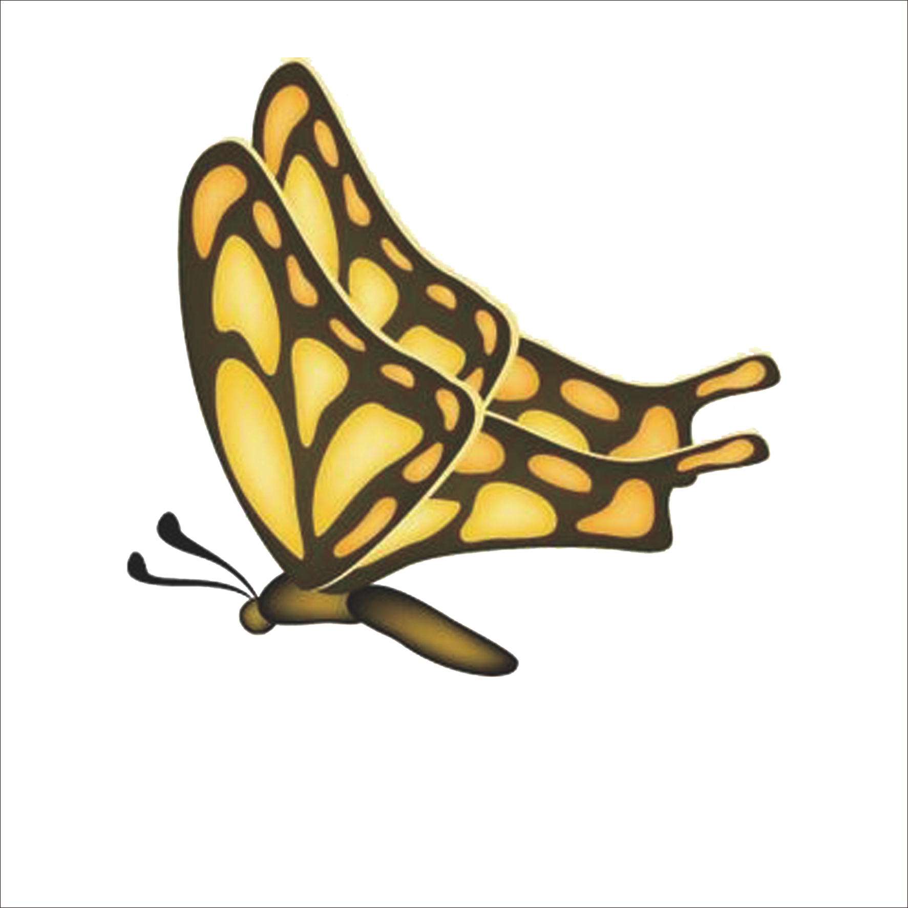 Monarch Butterfly Painting Illustration - Monarch Butterfly Painting Illustration (1773x1773)