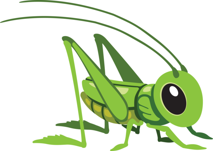 Grasshopper Png - Cartoon Grasshopper (699x495)