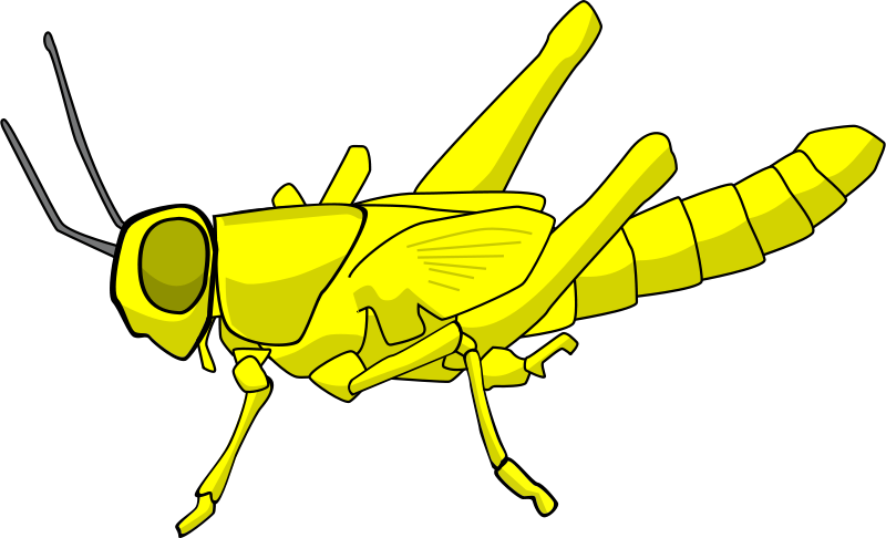 Destructive Yellow, Cartoon, Insect, Locust, Pest, - Locust Clipart (960x583)