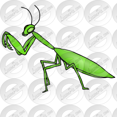 Praying Mantis Clipart Green Bug - Mantis (380x380)