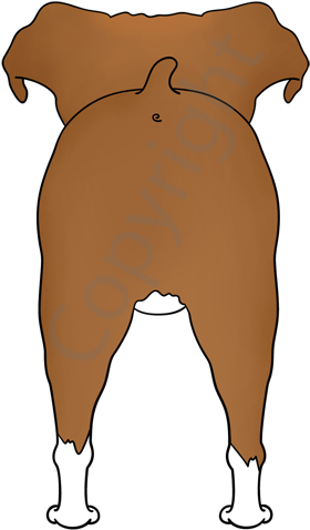 Big Nose Boxer T-shirts - Illustration (400x545)