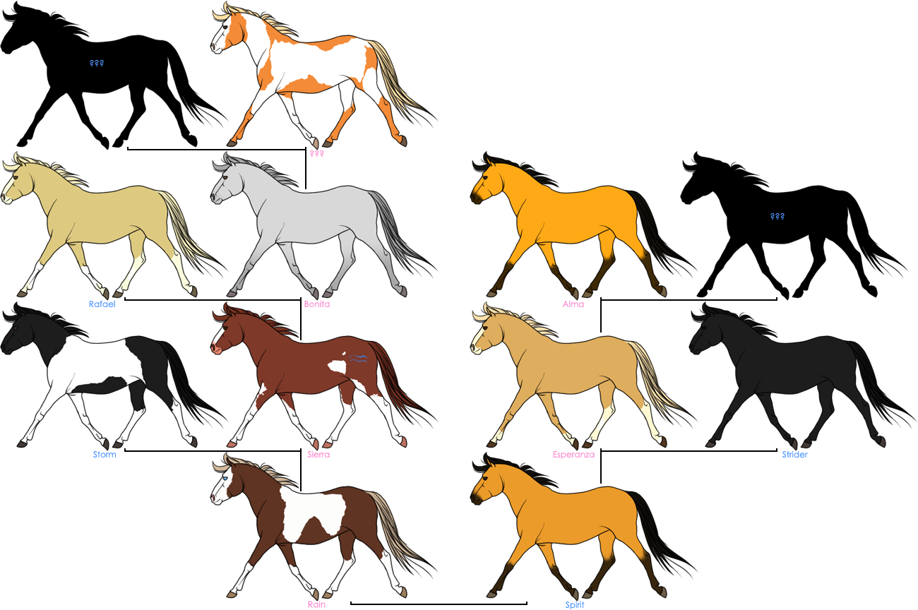 Family Tree By Hallelujahimsetfree - Spirit Horse Family Tree (1300x864)