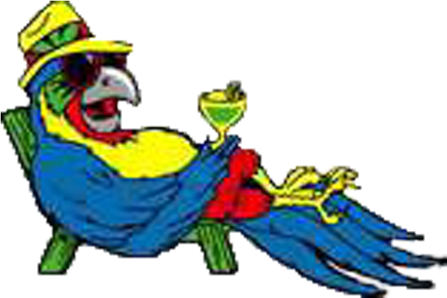 Lake Havasu Parrot Head Club - Jimmy Buffett Parrot Art (667x458)
