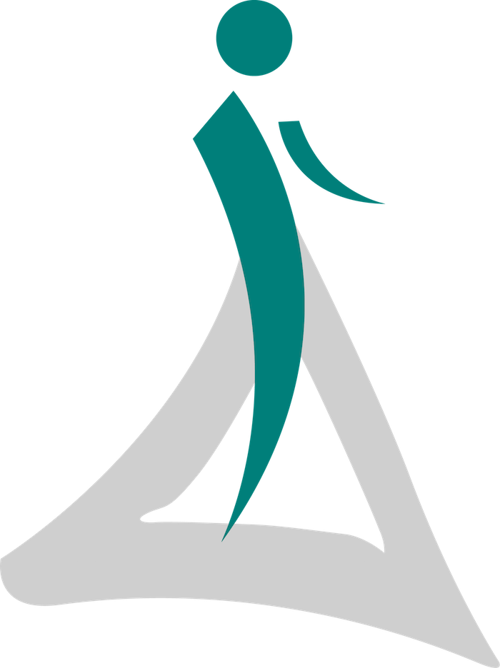 Technical Leadership Mastery - Leadership (700x936)