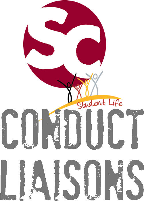 Student Life Conduct Liaisons - Poster Streelzones - Kat - 30x45 Cm - Wall-art.nl (604x751)