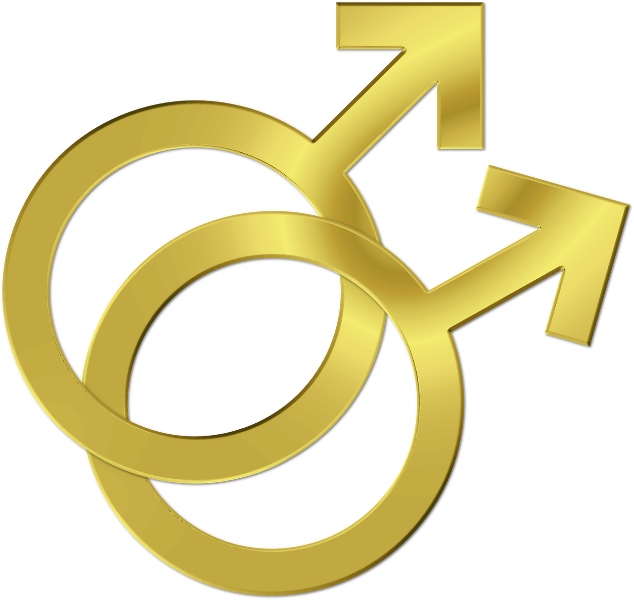 Gay Symbol Couple Marriage Lgbt Png Image - Gay Symbol Couple Marriage Lgbt Png Image (1280x1212)