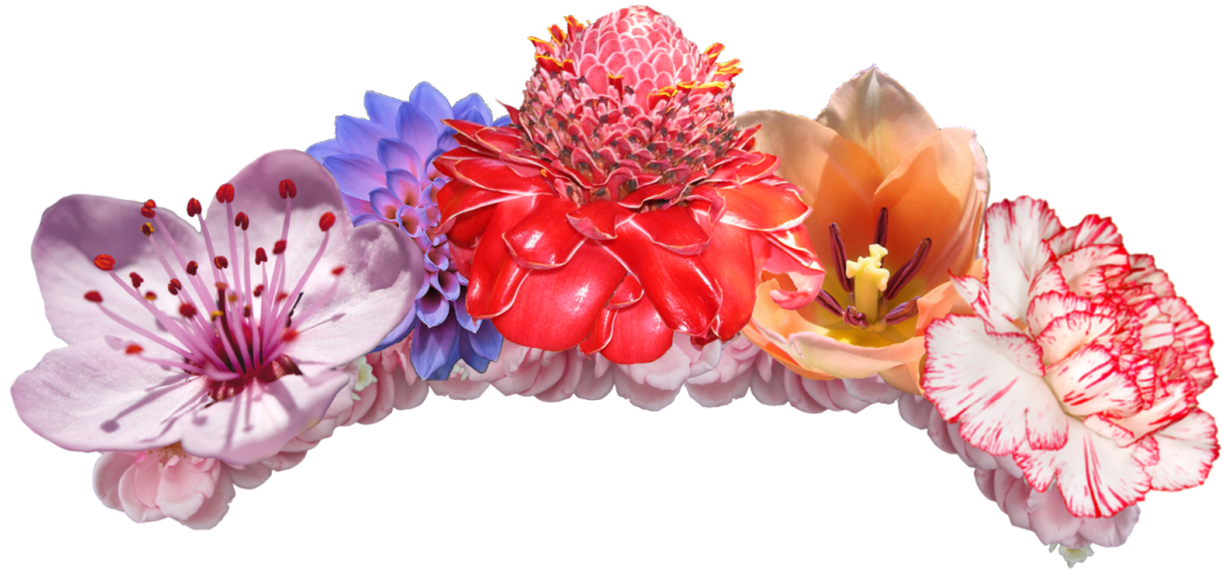 Crown Png - Flower Crown Png (1368x855)