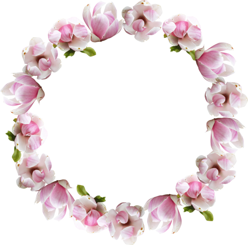Flower Crown Png Image - Miracles And Saint Quotes (500x494)