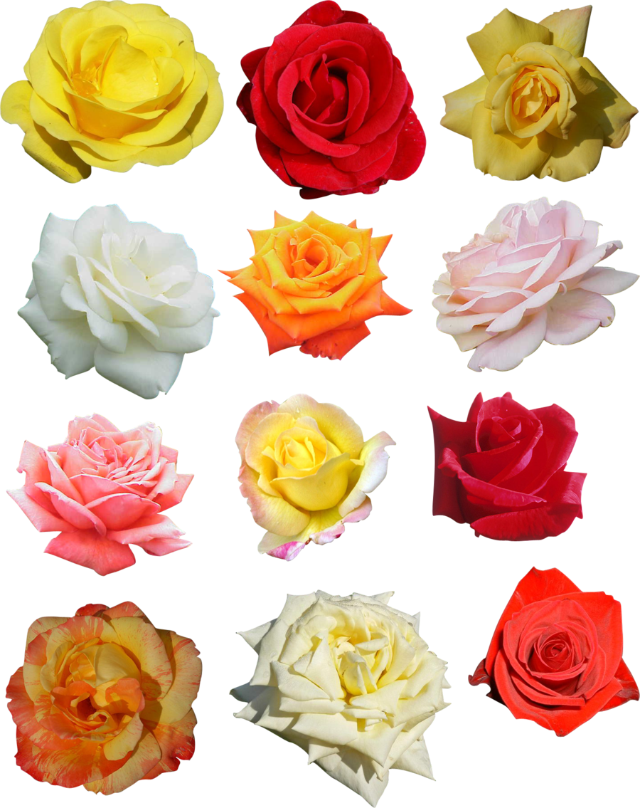 Lavera Brow Gel Monger - Style 9 Ml (900x1135)