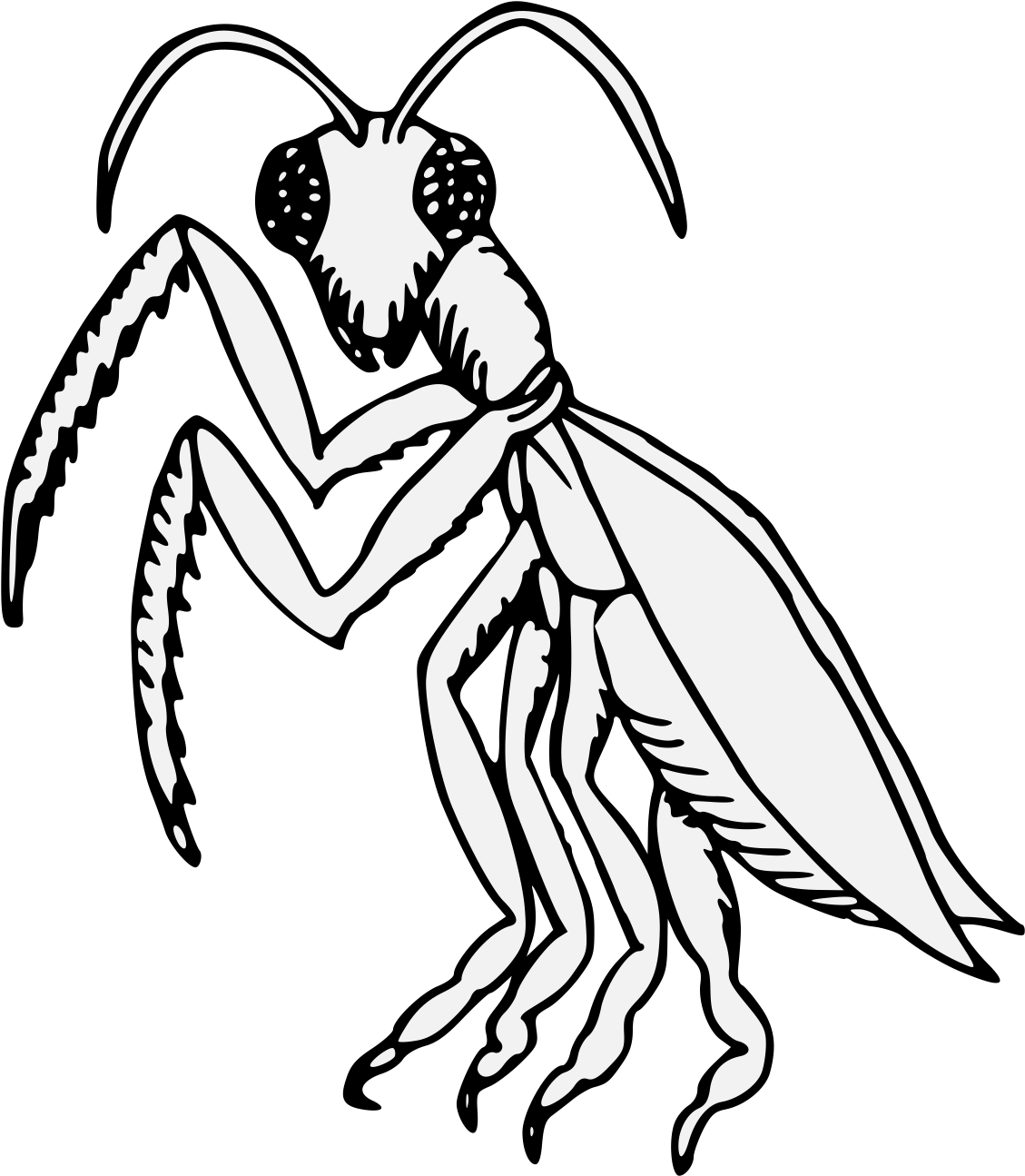 Praying Mantis Sejant Erect Guardant - Illustration (1146x1324)