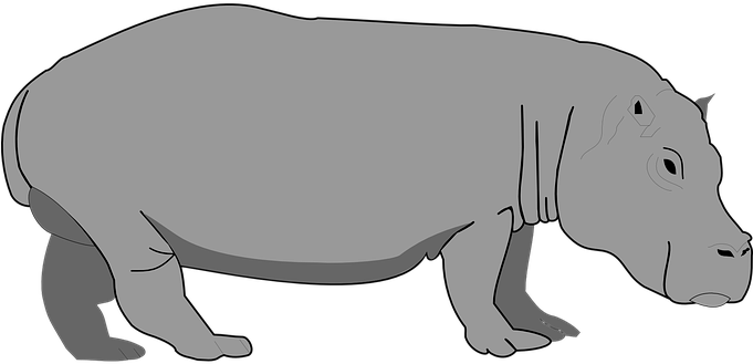 Hippo Gray Hippopotamus Wildlife Safari Af - Hippo Clipart (680x340)