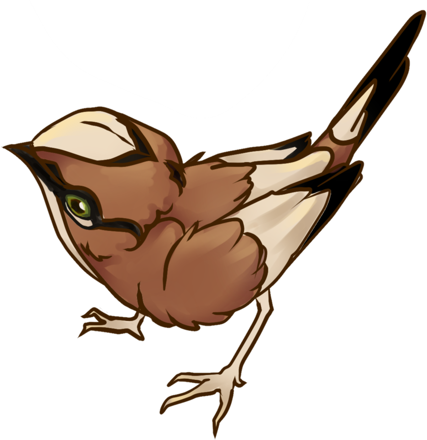 European Swallow (884x903)