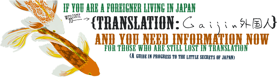 Gaijin, Renting In Japan, Where To Rent Ok, So Fallowing - Gaijin (925x263)