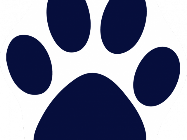 Navy Clipart Paw Print - Pink Cat Paw Print (640x480)