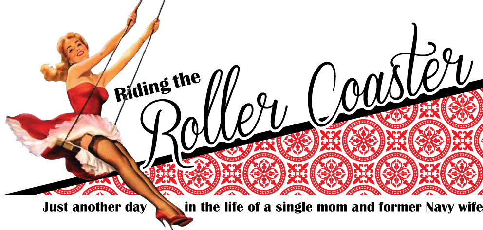 Riding The Roller Coaster - Roller Coaster (1000x475)