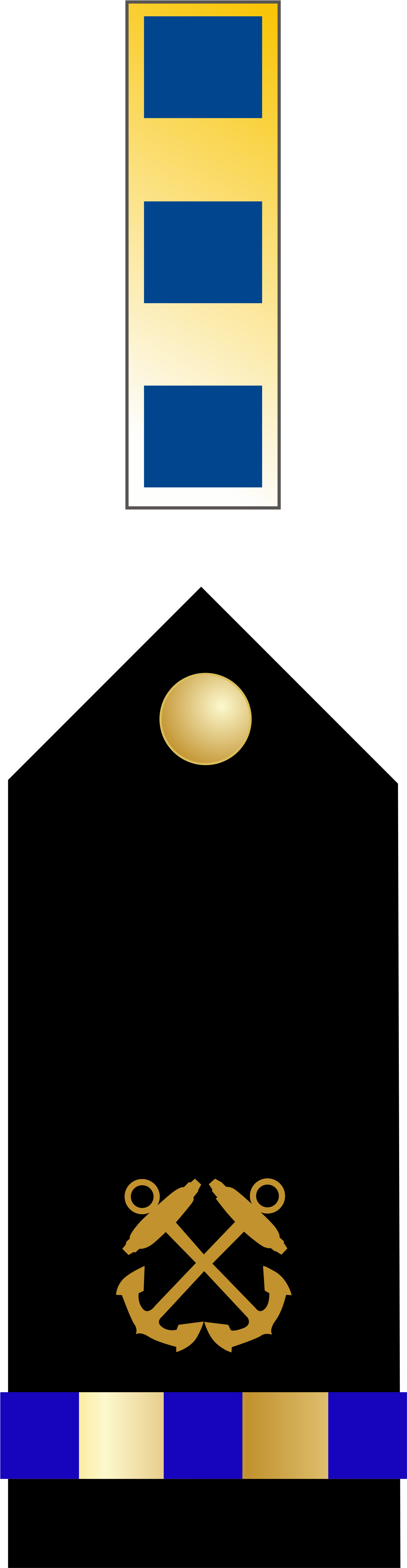 Chief Warrant Officer - Master Chief Petty Officer Insignia (2000x5600)