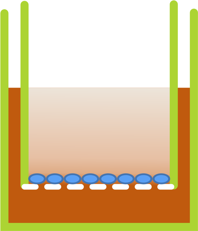 Free Content (693x800)