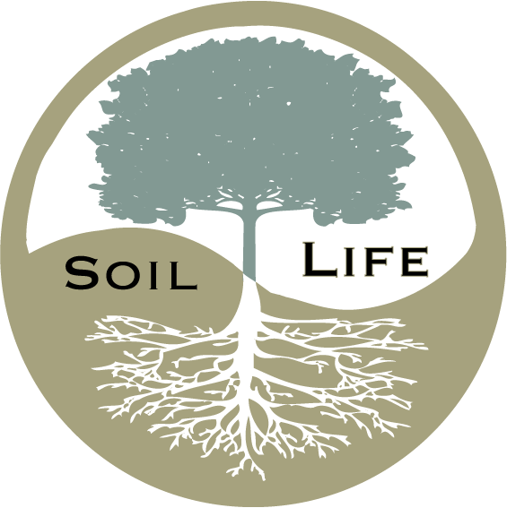 The Main Reason Why Chemical Fertilizers Can Cause - Life (565x567)