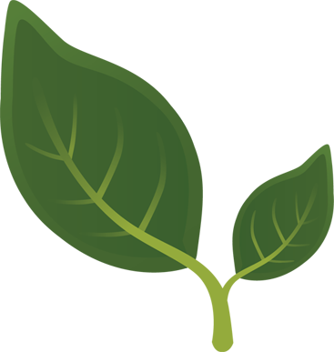 Plantation (367x387)