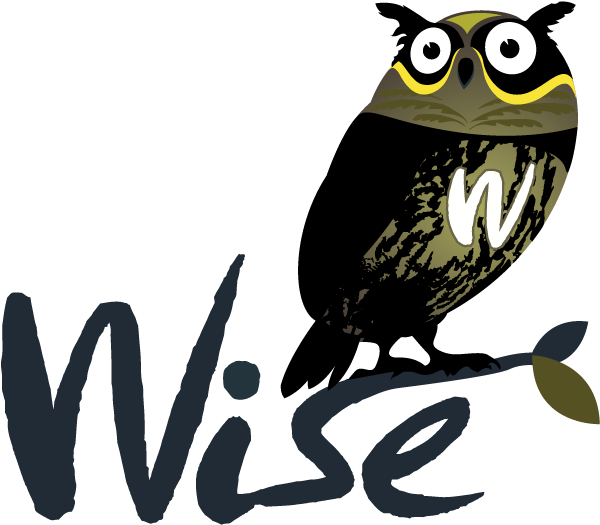 Wise Logo - Owl Logo Design .png (600x600)