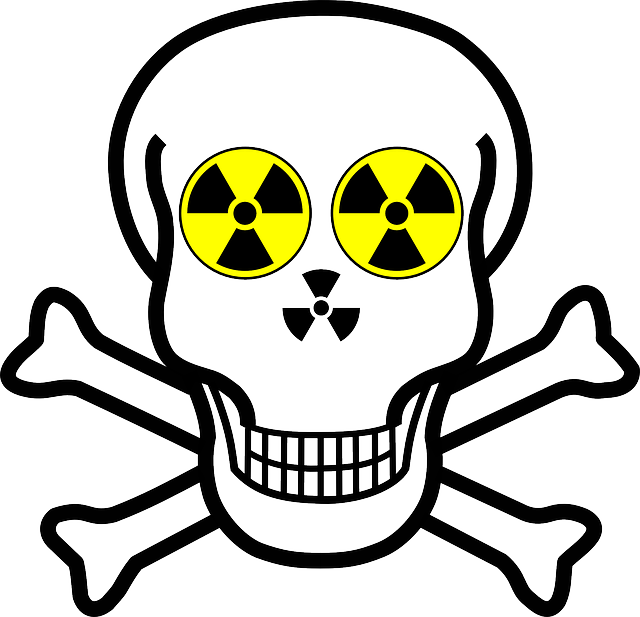 Energy Skull, Warning, Bones, Crossbones, Atom, Energy - Skull And Crossbones Logo (640x617)
