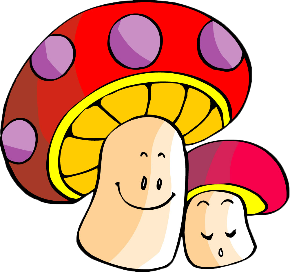 Mushroom Stroke Child Food - Mushroom Stroke Child Food (1001x938)