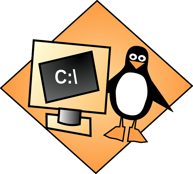 Computer Penguin, Tux, Linux, Console, Shell, Computer - Clip Art (640x579)