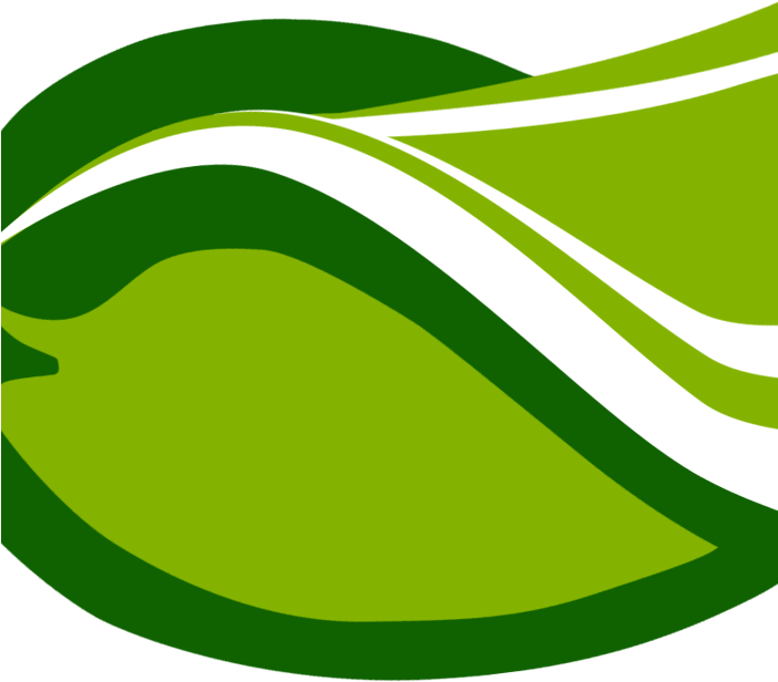 Pin Green Mango Clipart - Mango Png Clipart Green (701x701)