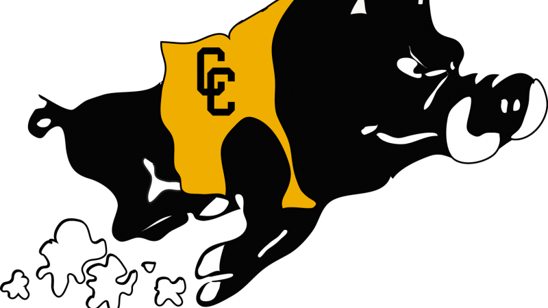 Colquitt County High School Mascot (800x450)