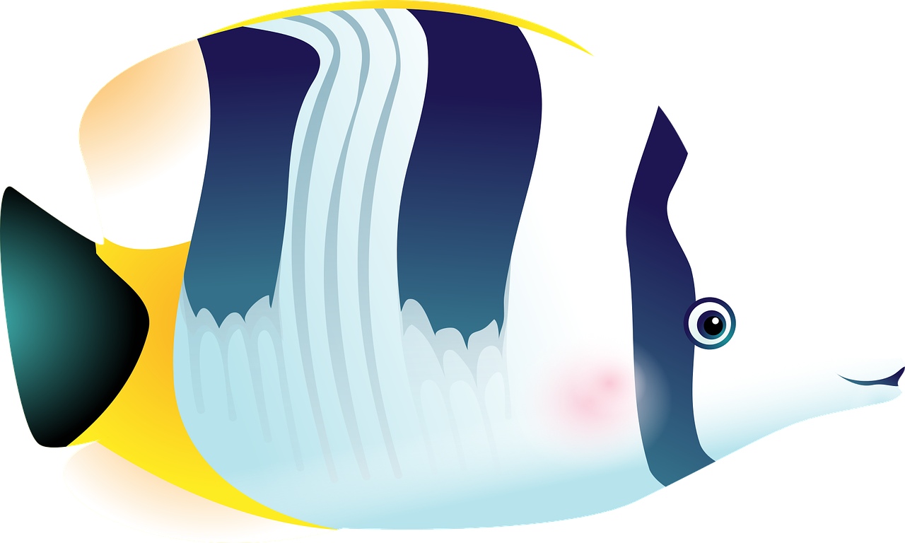 Fish Tropical Fish Sea Aquarium Fish Tank - Fish (1280x768)