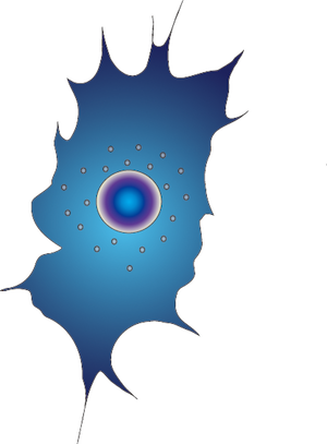 Identify This Osteoblast, A Type Of Cell That Builds - Osteoblast (300x407)