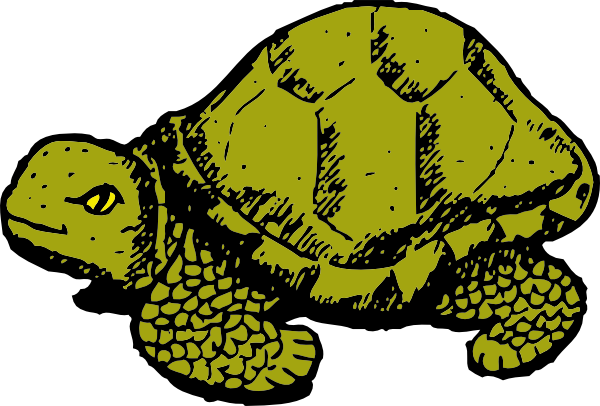 Cartoon Tortoise - Clipart Library - Green Turtle Shower Curtain (600x406)