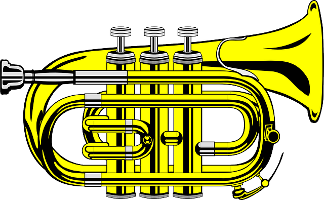 Music, Flat, Recreation, Cartoon, Pocket, Trumpet - Beautiful Black And White Trumpet Pillow Case (640x395)