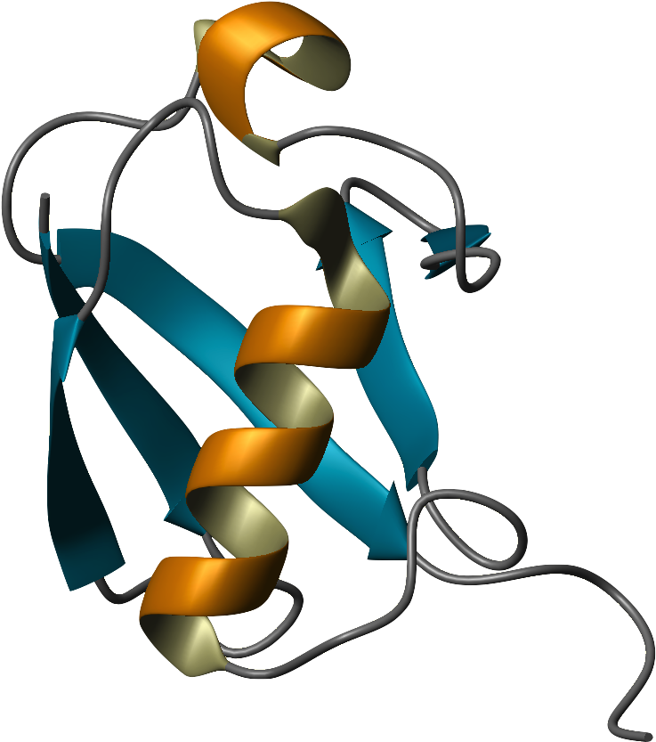 Ubiquitin Structure (806x922)