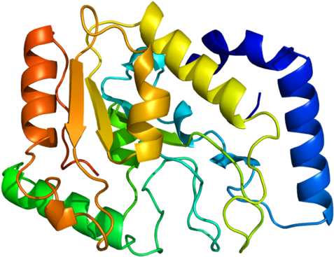 Available Structures - Uracil Dna Glycosylase Structure (500x390)