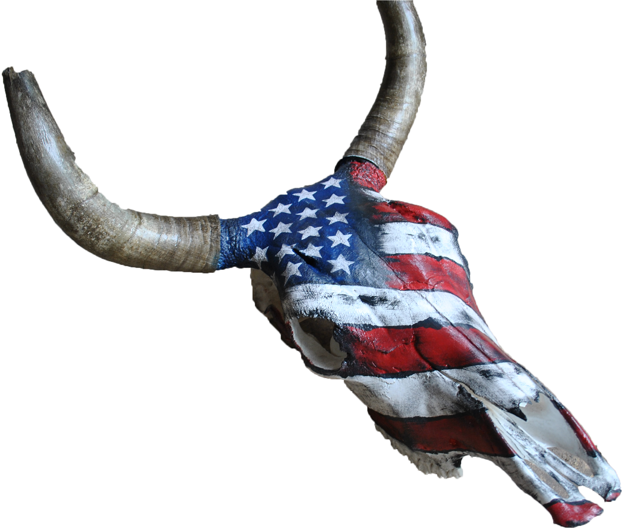 Home Kata Black Angus Bull Skull Of The Us Flag - Angus Cattle (2376x1838)