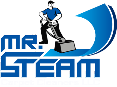 Steam Carpet Cleaners - Carpet Cleaning (400x325)