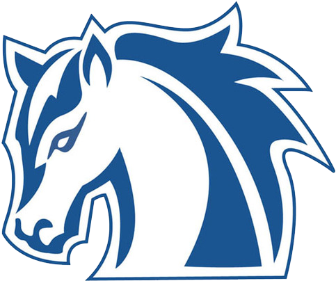 Hood College Athletics Logo (482x482)