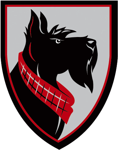 Carnegie Mellon Carnegie Mellon Womens College Track - Carnegie Mellon Tartans (485x485)