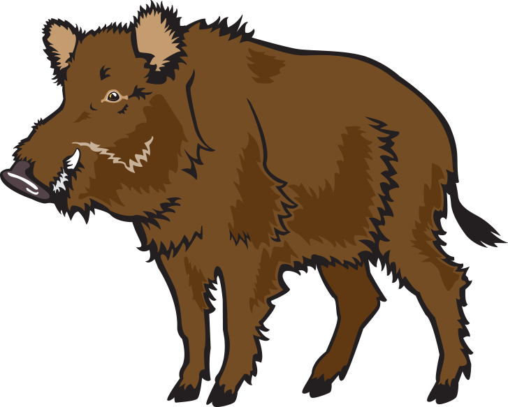 Wild Boar Common Warthog Clip Art - Wild Boar Common Warthog Clip Art (727x583)