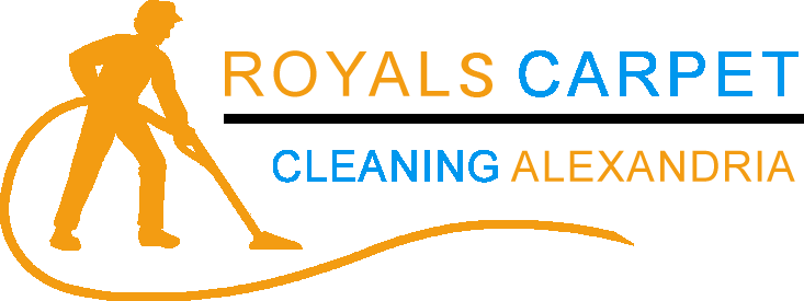 Sohorugcleaners - Cleaning Services Motto (733x275)