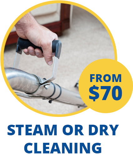 Steam Clean Or Dry - Carpet Cleaning (555x512)