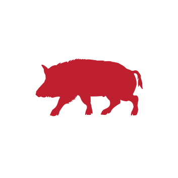 Color Hd - Boar (566x400)