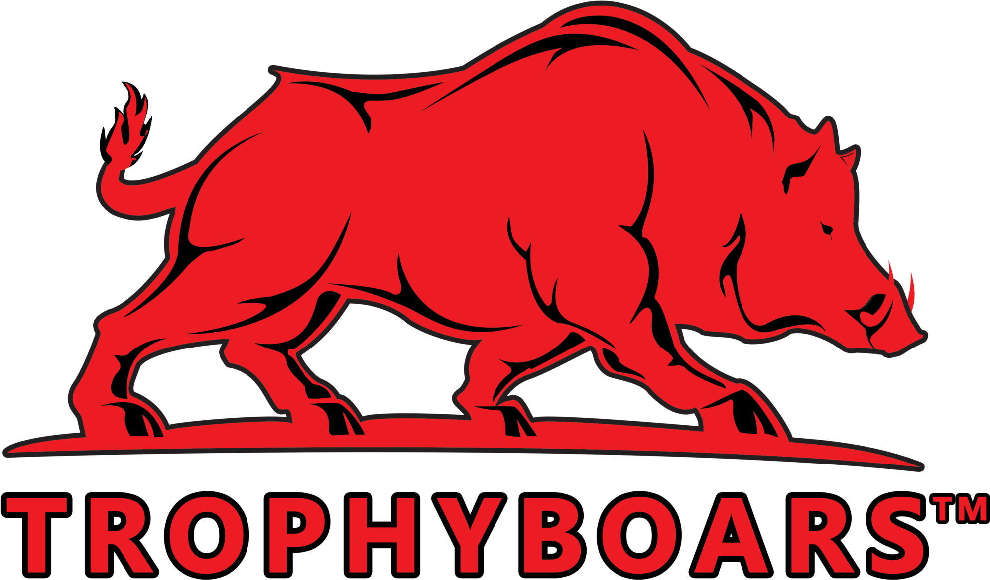 Designed By Out Of The Sandbox - Coupon (2048x1270)