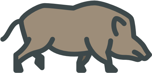 Boar Free Icon - Zoo (512x512)
