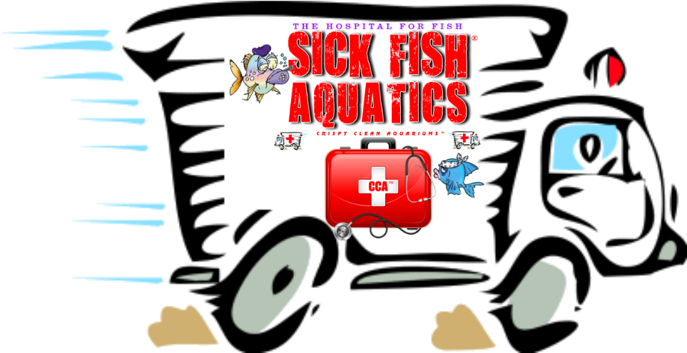 Ambulance Clip Art (980x640)