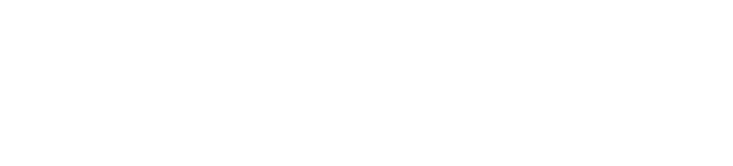 Flying Vinyl - Flying Vinyl Logo (820x192)