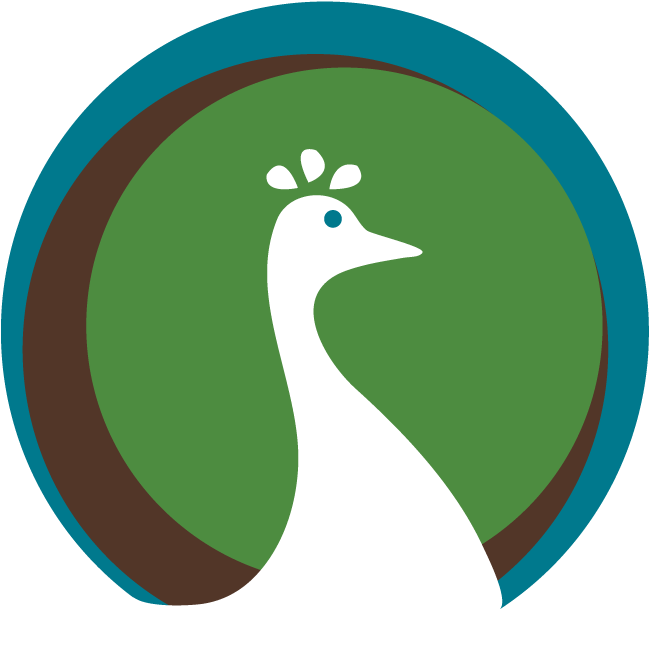 Home - Portrait Of A Man (720x720)