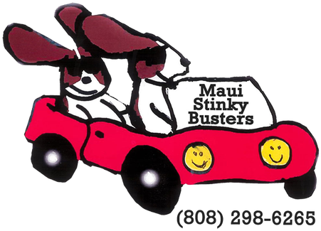 Maui Stinky Busters - Commercial Cleaning (483x363)