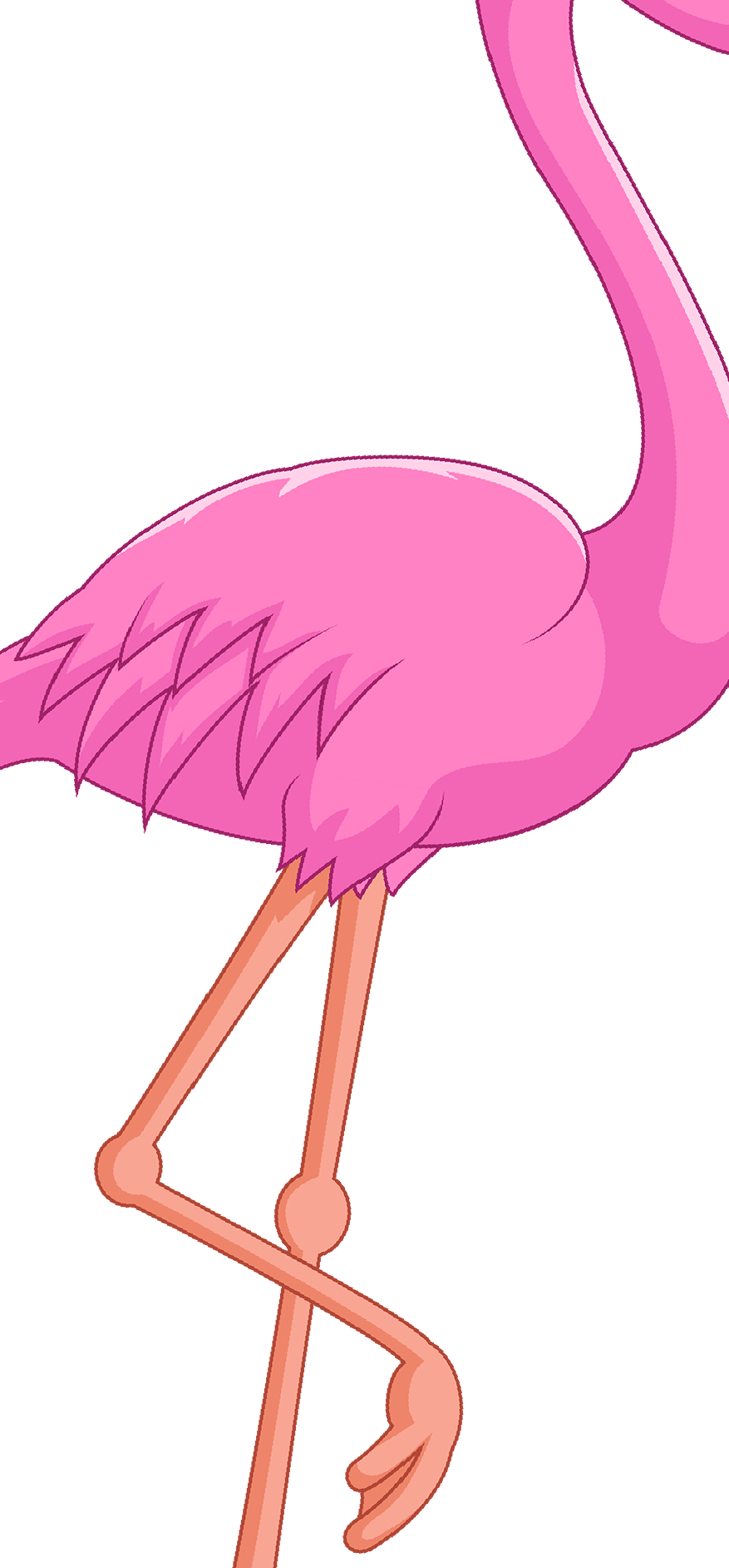 Water Bird Vertebrate Beak - Flamingo Pink Png (877x1884)